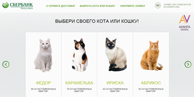 Sber_cats_3.jpg